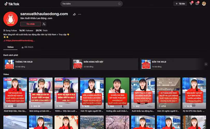 Sàn xuất khẩu 4.jpg