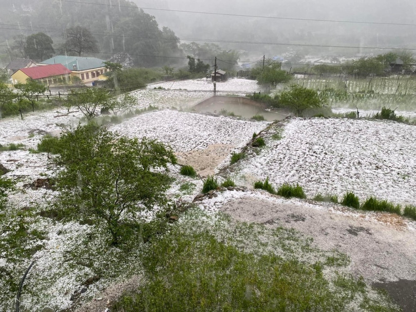Giông lốc, mưa đá cũng xuất hiện ở xã Lóng Luông, huyện Vân Hồ (Sơn La), cách hai xã ở huyện Mai Châu khoảng 2 km.
