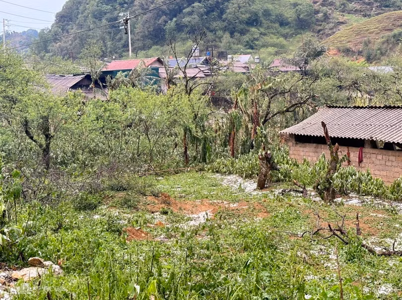 Sau hơn một giờ tạnh mưa, đá trên mặt đất vẫn chưa tan hết.
