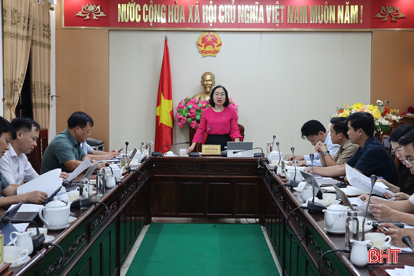 Trưởng ban Kinh tế - Ngân sách HĐND tỉnh Nguyễn Thị Thúy Nga chủ trì cuộc làm việc. IMG_5126.JPG