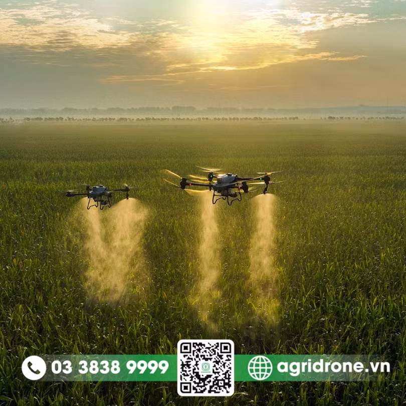 Bảng giá máy bay 3.jpg