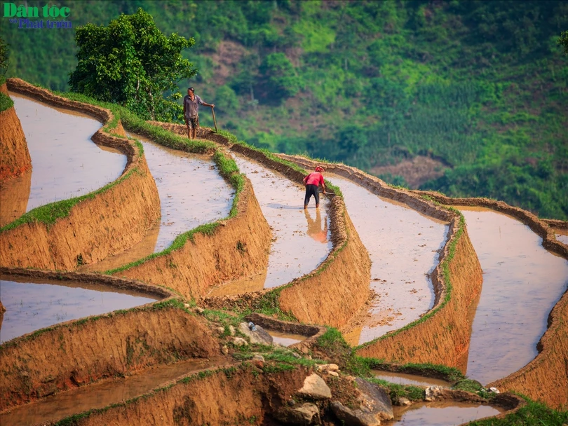 Trưởng Phòng Văn hóa - Thông tin huyện Hoàng Su Phì Nguyễn Việt Tuân cho biết: Phương thức canh tác ruộng bậc thang của mỗi dân tộc có đôi nét khác biệt. Như khi lựa chọn đất canh tác, người Dao Đỏ ở xã Hồ Thầu thường chỉ chọn những khu vực đất có độ dốc không lớn để làm ruộng bậc thang và trồng cây xung quanh khu ruộng của mình để giữ đất, tránh bị sạt lở. Còn với người La Chí ở xã Bản Phùng, do địa bàn cư trú chủ yếu là đồi núi cao, đất dốc, nguồn nước khan hiếm nên đất được lựa chọn để khai phá trước hết phải gần nguồn nước và thuận lợi trong việc dẫn nước về ruộng.