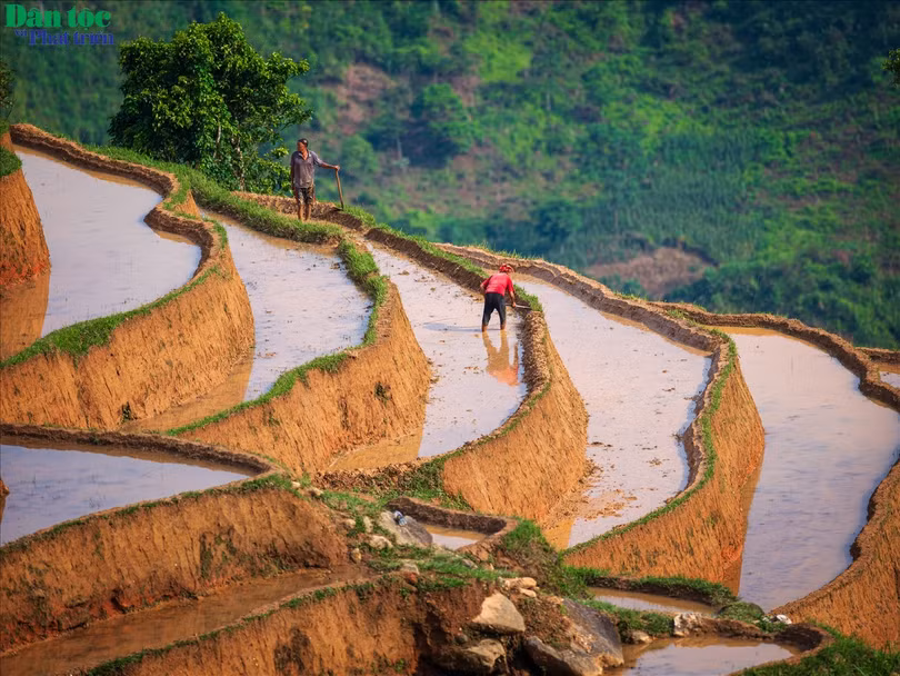 Trưởng Phòng Văn hóa - Thông tin huyện Hoàng Su Phì Nguyễn Việt Tuân cho biết: Phương thức canh tác ruộng bậc thang của mỗi dân tộc có đôi nét khác biệt. Như khi lựa chọn đất canh tác, người Dao Đỏ ở xã Hồ Thầu thường chỉ chọn những khu vực đất có độ dốc không lớn để làm ruộng bậc thang và trồng cây xung quanh khu ruộng của mình để giữ đất, tránh bị sạt lở. Còn với người La Chí ở xã Bản Phùng, do địa bàn cư trú chủ yếu là đồi núi cao, đất dốc, nguồn nước khan hiếm nên đất được lựa chọn để khai phá trước hết phải gần nguồn nước và thuận lợi trong việc dẫn nước về ruộng.