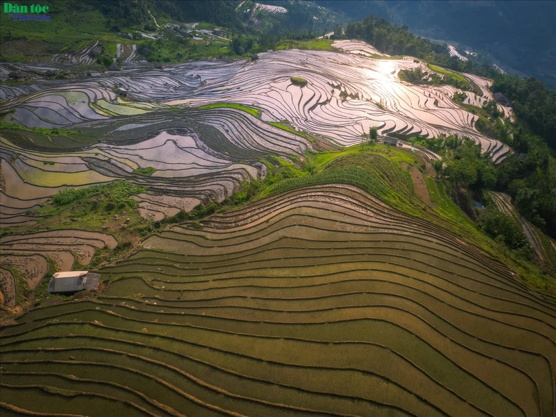 Hiện nay Hoàng Su Phì có tổng số 3.720,6 ha ruộng bậc thang trải đều khắp 24/24 xã, thị trấn của huyện. Trong đó có 1.380 ha ruộng bậc thang tại 11 xã Bản Phùng, Bản Luốc, Sán Sả Hồ, Hồ Thầu, Thông Nguyên, Nậm Ty, Tả Sử Choóng, Bản Nhùng, Pố Lồ, Thàng Tín, Nậm Khòa được công nhận di tích danh thắng cấp quốc gia.