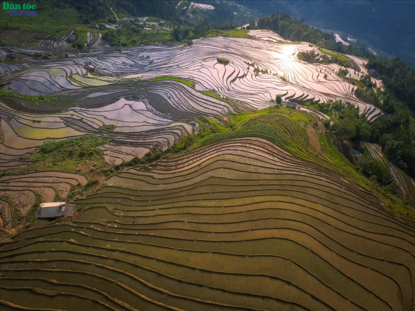 Hiện nay Hoàng Su Phì có tổng số 3.720,6 ha ruộng bậc thang trải đều khắp 24/24 xã, thị trấn của huyện. Trong đó có 1.380 ha ruộng bậc thang tại 11 xã Bản Phùng, Bản Luốc, Sán Sả Hồ, Hồ Thầu, Thông Nguyên, Nậm Ty, Tả Sử Choóng, Bản Nhùng, Pố Lồ, Thàng Tín, Nậm Khòa được công nhận di tích danh thắng cấp quốc gia.
