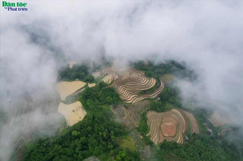 Phóng tầm mắt từ trên cao, những thửa ruộng bậc thang ở Bản Phùng với vô vàn tầng bậc loang loáng nước, trải dài trên khắp các triền đồi, sườn núi với những mảng màu đa sắc giữa mênh mông đất trời tựa như một bức tranh thiên nhiên khổng lồ giữa đại ngàn.