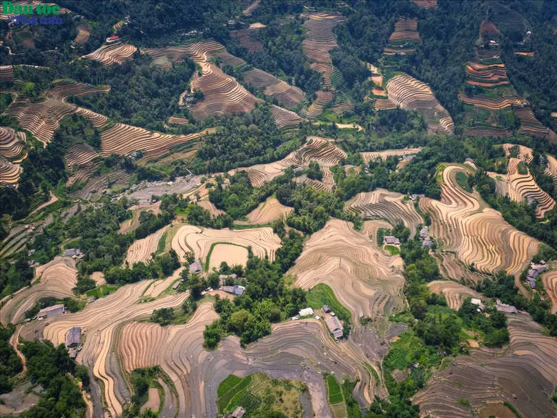 Hoàng Su Phì là huyện vùng cao phía Tây tỉnh Hà Giang. Toàn huyện có 24 đơn vị hành chính, bao gồm 23 xã và 1 thị trấn, với tổng diện tích tự nhiên là 63.238,06 ha, dân số 68.416 người (năm 2023). Là địa phương vùng cao có nhiều thành phần dân tộc cùng sinh sống, địa hình chia cắt mạnh, giao thông không thuận tiện, thời tiết khí hậu khắc nghiệt, nên từ bao đời nay canh tác nông nghiệp là một trong lĩnh vực chiếm tỷ lệ chủ yếu trong cơ cấu kinh tế của huyện.