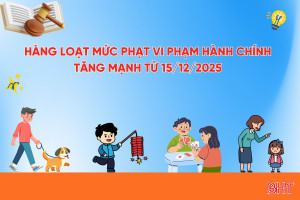 [Motion Graphics] Hàng loạt mức phạt vi phạm hành chính tăng mạnh từ 15/12/2025