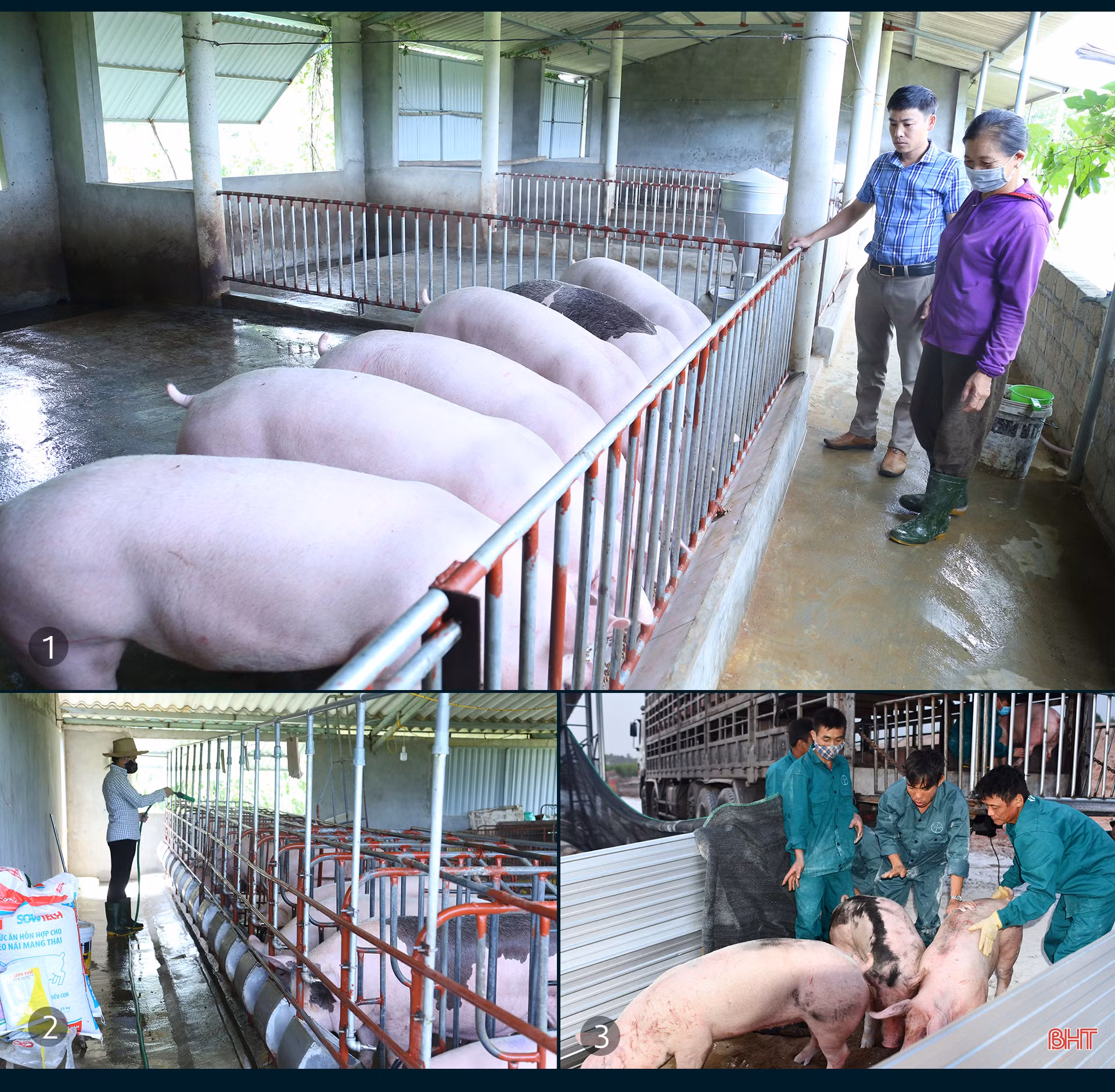 Dịch bệnh trên gia súc và “lá chắn” trong chăn nuôi (bài 3): “Chìa khóa” kiểm soát dịch, phát triển chăn nuôi