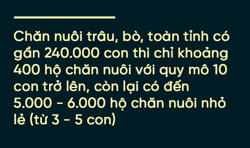 Dịch bệnh trên gia súc và “lá chắn” trong chăn nuôi (bài 3): “Chìa khóa” kiểm soát dịch, phát triển chăn nuôi ảnh 12 Dịch bệnh trên gia súc và “lá chắn” trong chăn nuôi (bài 3): “Chìa khóa” kiểm soát dịch, phát triển chăn nuôi