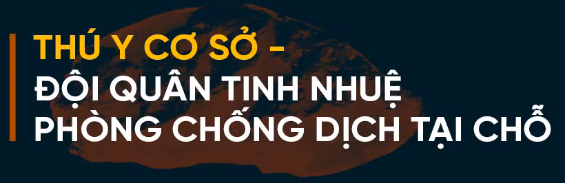 Dịch bệnh trên gia súc và “lá chắn” trong chăn nuôi (bài 3): “Chìa khóa” kiểm soát dịch, phát triển chăn nuôi