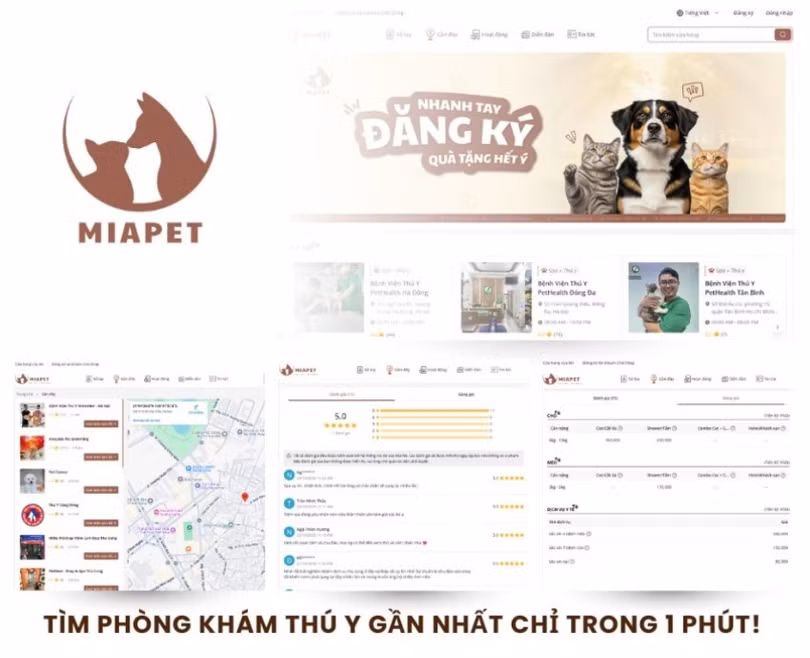 thu-cung-2-4717.jpg