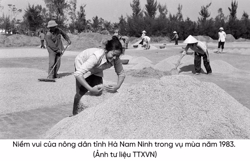 Hội Nông dân Việt Nam chính thức mang tên gọi hiện nay từ năm nào?