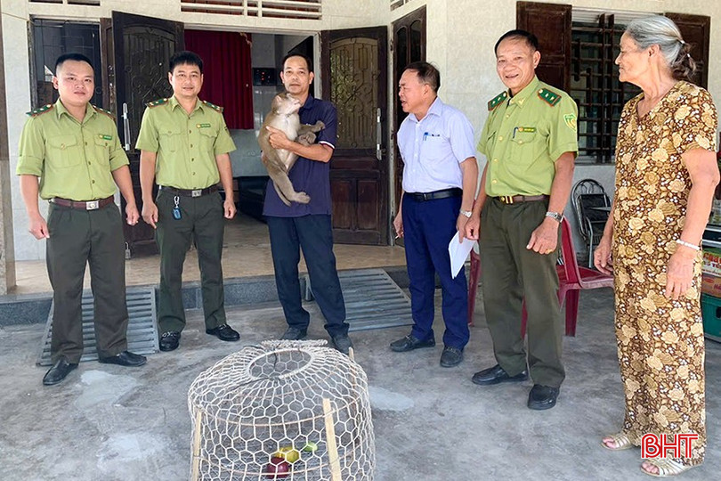 ngan giang.jpg