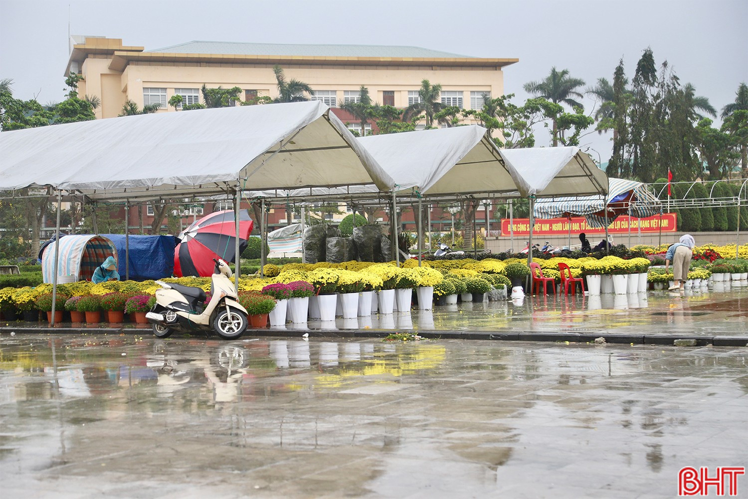 حالة الطقس اليوم: انخفاض درجات الحرارة يثير قلق بائعي الزهور ونباتات الزينة – مشاهير