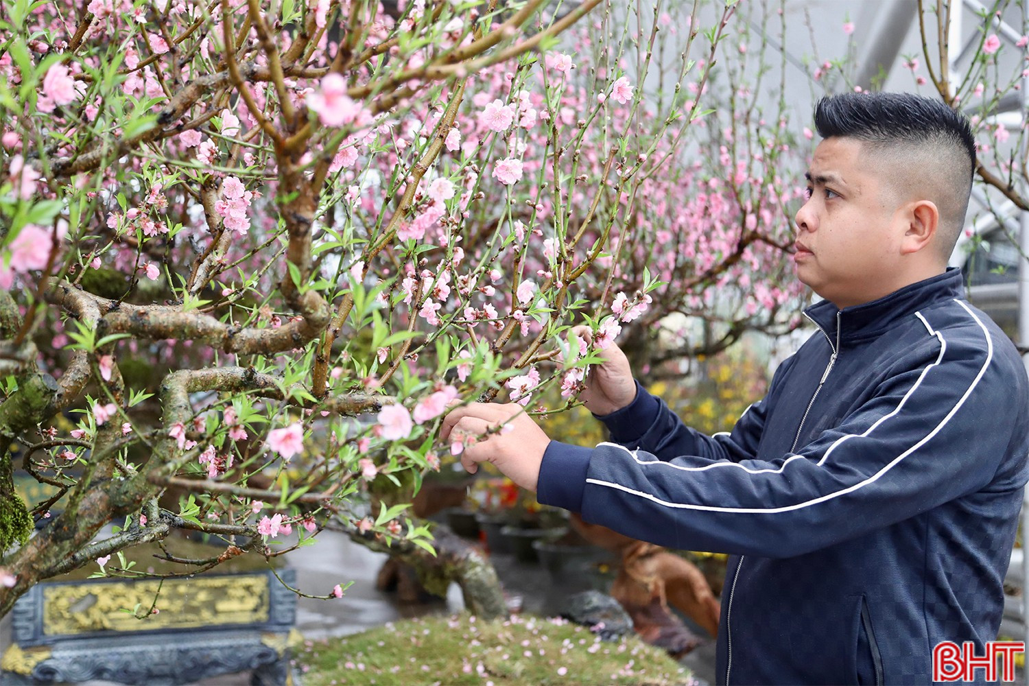 يشعر العديد من أصحاب المشاريع الصغيرة بالقلق نتيجة انخفاض مبيعات نباتات الزينة bqbht_br_img-7937-copy.jpg