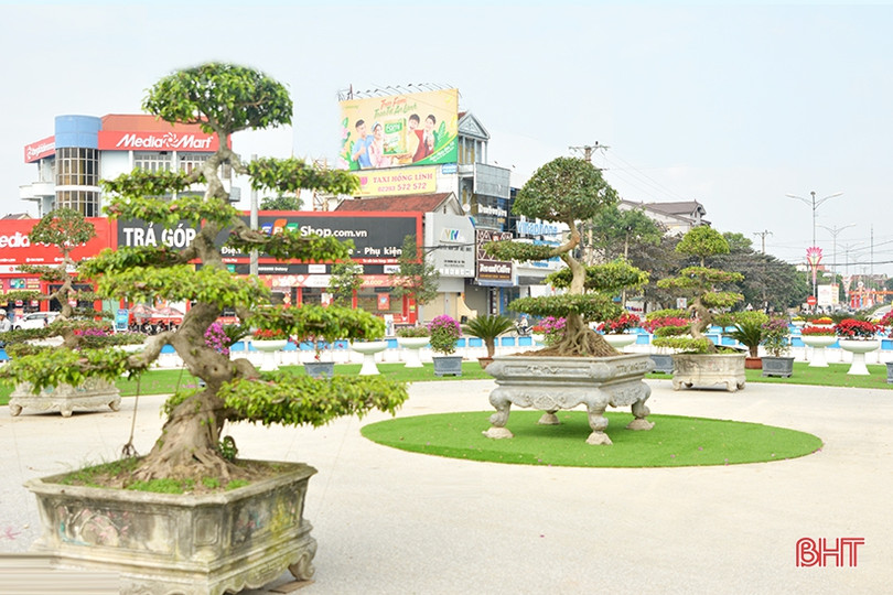 Xuân về rực rỡ trên đô thị phía Bắc Hà Tĩnh