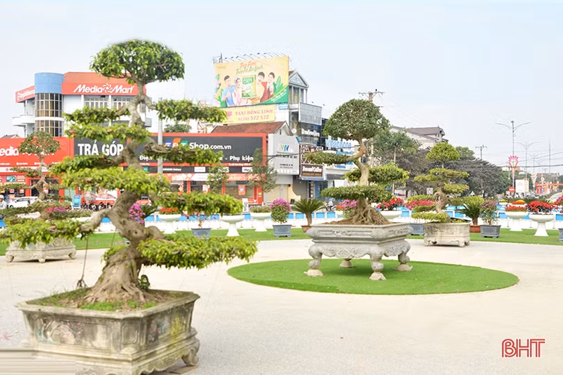Xuân về rực rỡ trên đô thị phía Bắc Hà Tĩnh