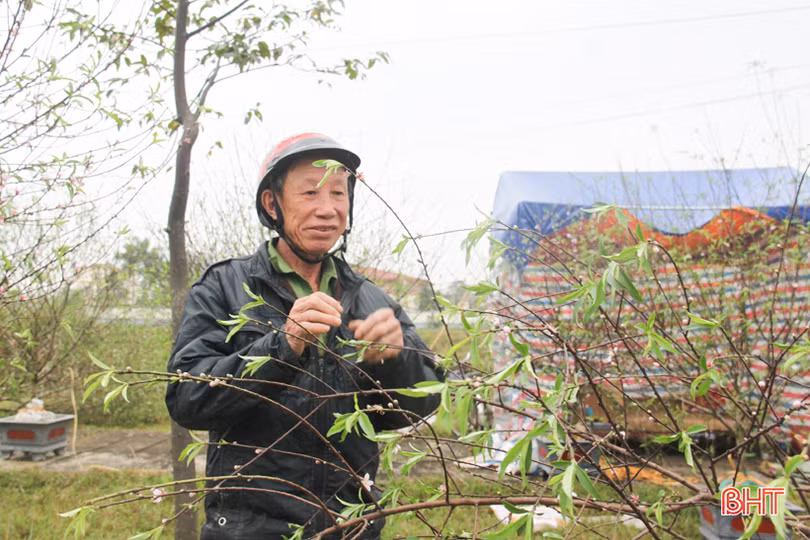 Những người “nằm sương” mang xuân về phố ở Hà Tĩnh