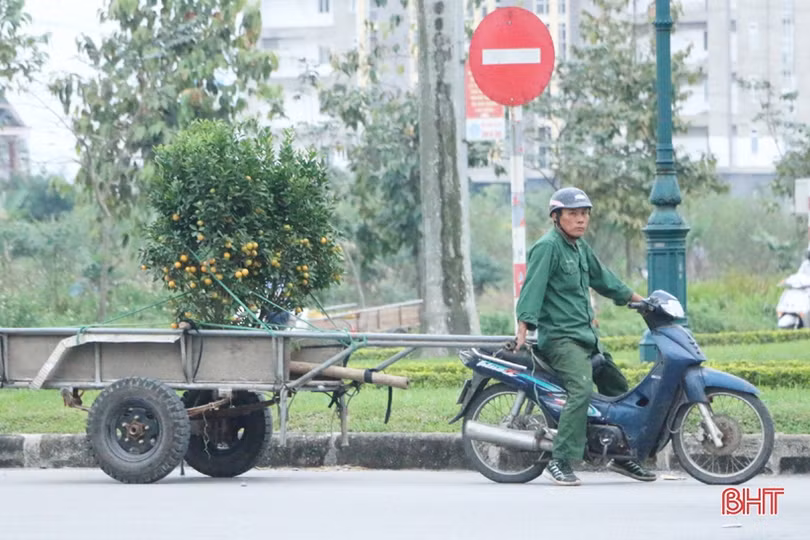 Mưu sinh chiều cuối năm