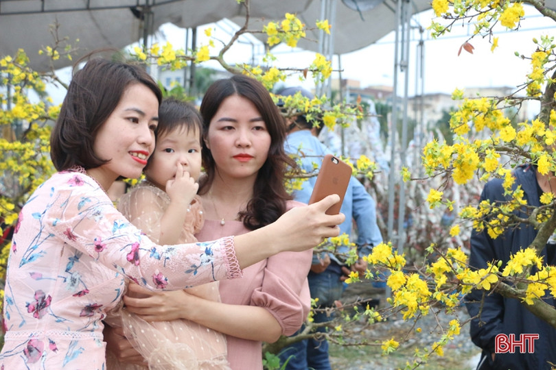 Ra phố hoa Hà Tĩnh mang Xuân về nhà