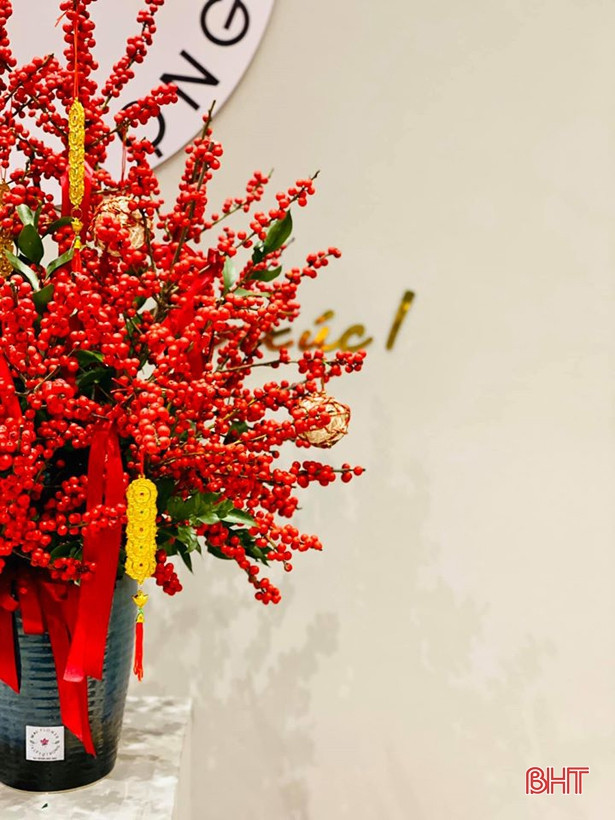 Hoa tết đẹp - độc - lạ ở Hà Tĩnh thỏa sức cho khách chơi Tết Canh Tý