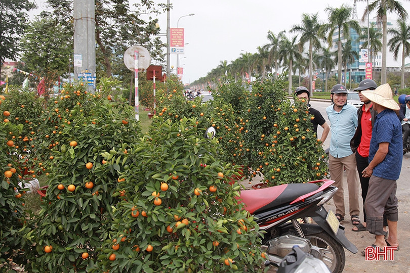 Phố hoa Hà Tĩnh chiều 30 tết: Mai “sạch trơn”, đào và quất hạ giá