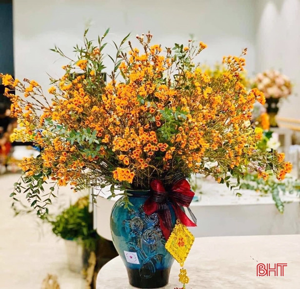 Hoa tết đẹp - độc - lạ ở Hà Tĩnh thỏa sức cho khách chơi Tết Canh Tý