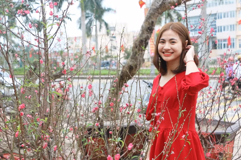 Ra phố hoa Hà Tĩnh mang Xuân về nhà