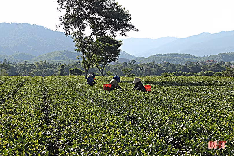 Thôn quê Hà Tĩnh - đi xa lại muốn về...
