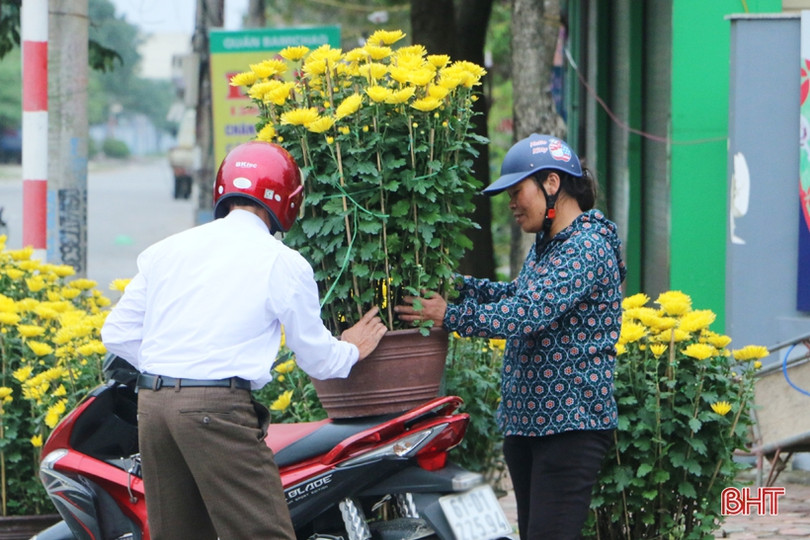 Phố hoa Hà Tĩnh chiều 30 tết: Mai “sạch trơn”, đào và quất hạ giá
