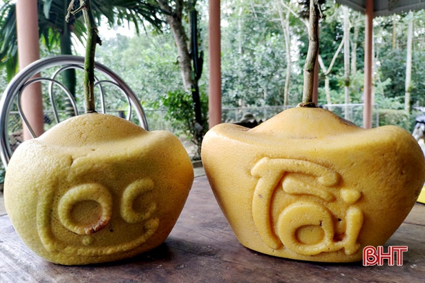 Mê mẩn bưởi hồ lô, bưởi thỏi bạc tạo hình tài - lộc của nông dân Hà Tĩnh