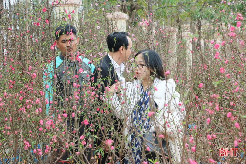 Phố hoa Hà Tĩnh chiều 30 tết: Mai “sạch trơn”, đào và quất hạ giá