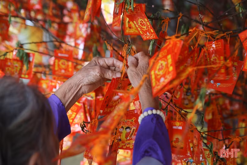 Người dân Hà Tĩnh náo nức đi lễ chùa, hái lộc đầu xuân