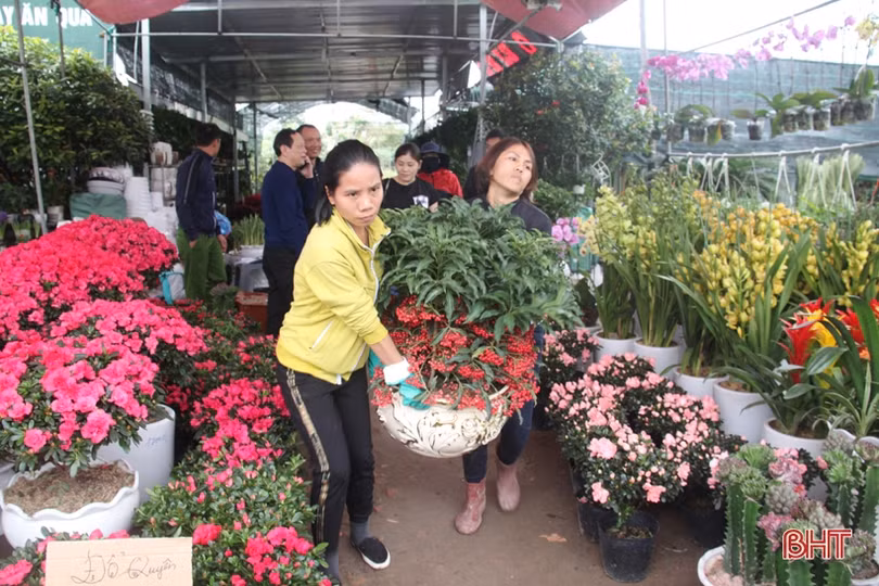 Những người “nằm sương” mang xuân về phố ở Hà Tĩnh