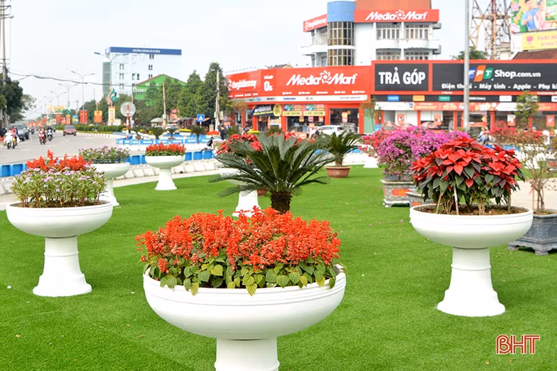 Xuân về rực rỡ trên đô thị phía Bắc Hà Tĩnh
