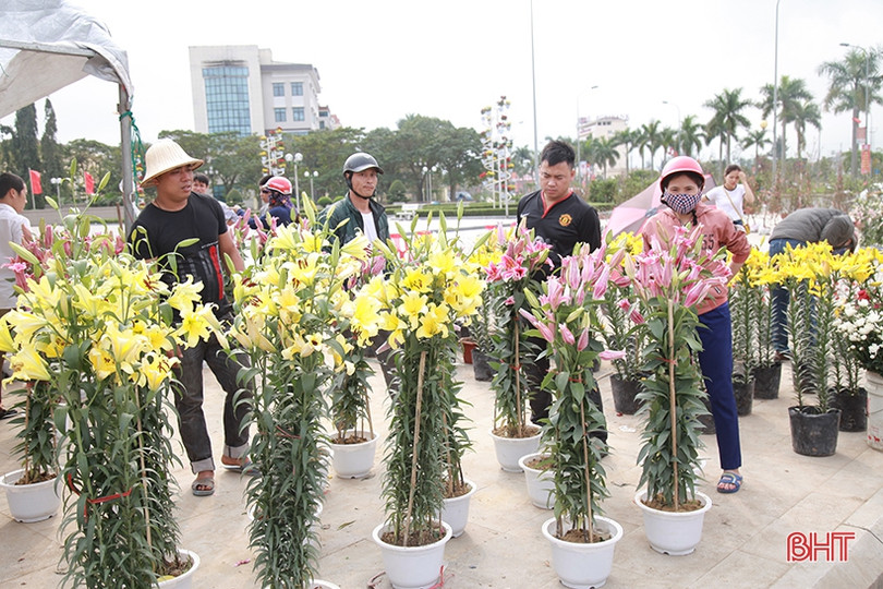 Phố hoa Hà Tĩnh chiều 30 tết: Mai “sạch trơn”, đào và quất hạ giá