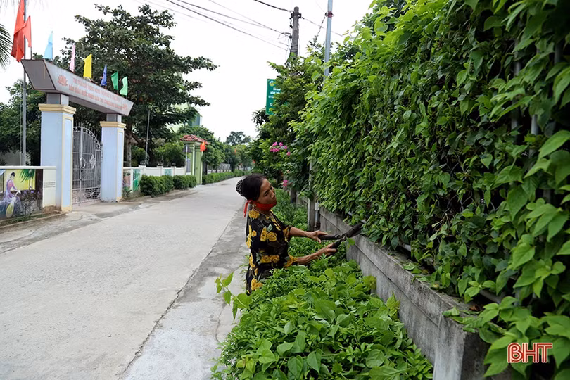 Thôn quê Hà Tĩnh - đi xa lại muốn về...