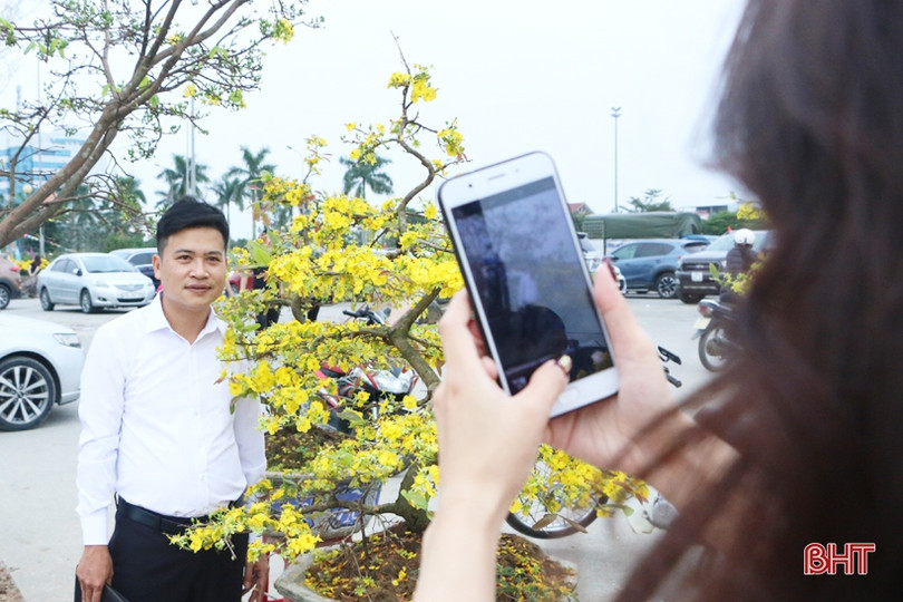 Ra phố hoa Hà Tĩnh mang Xuân về nhà