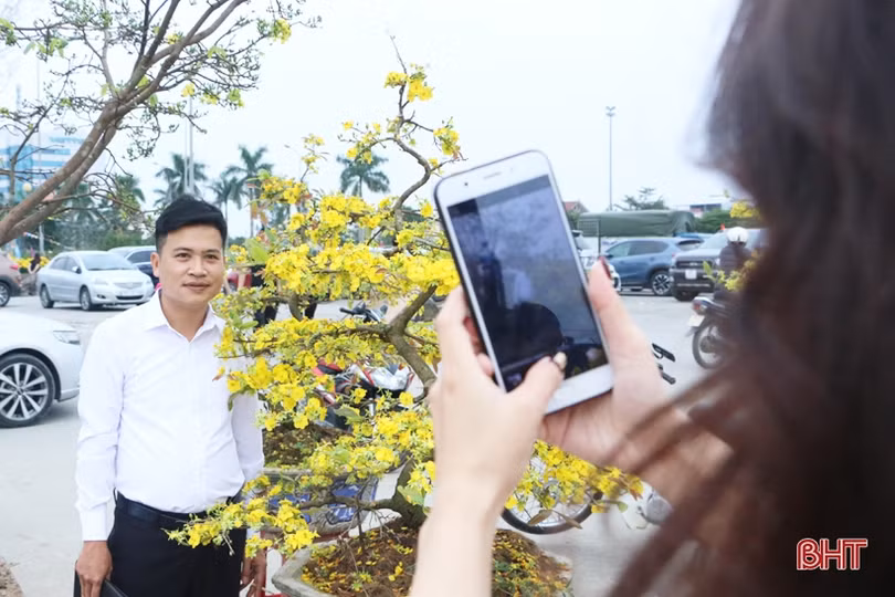 Ra phố hoa Hà Tĩnh mang Xuân về nhà