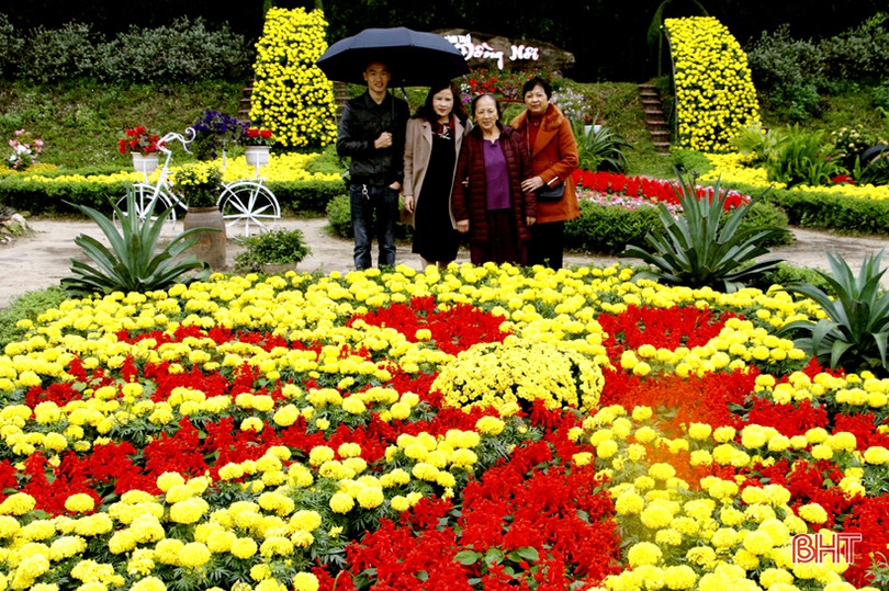 Hoa xuân Đồng Nôi rực rỡ hút khách những ngày đầu năm mới