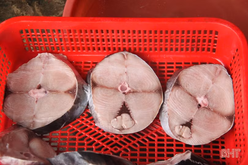 Tận mắt xem những con cá giá nửa chỉ vàng ngày Tết ở Hà Tĩnh