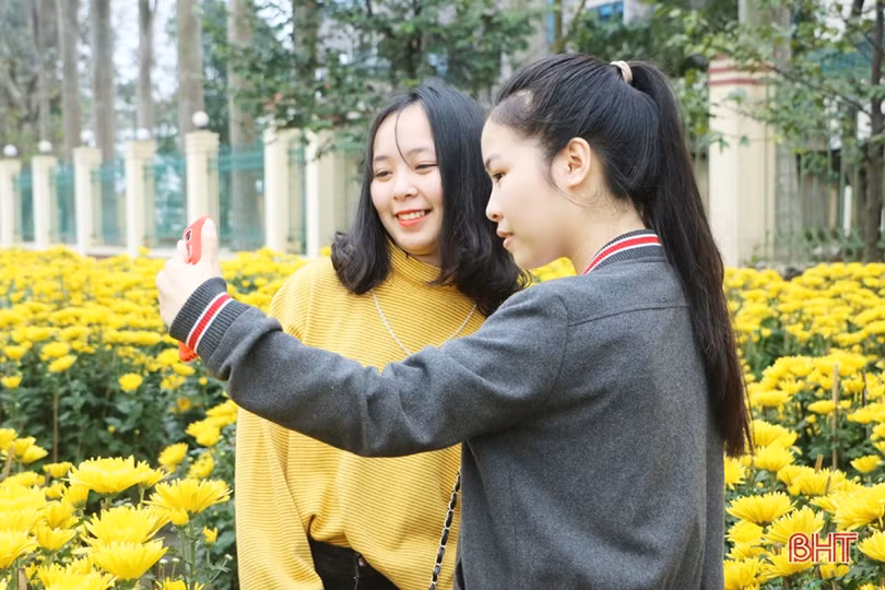 Ra phố hoa Hà Tĩnh mang Xuân về nhà