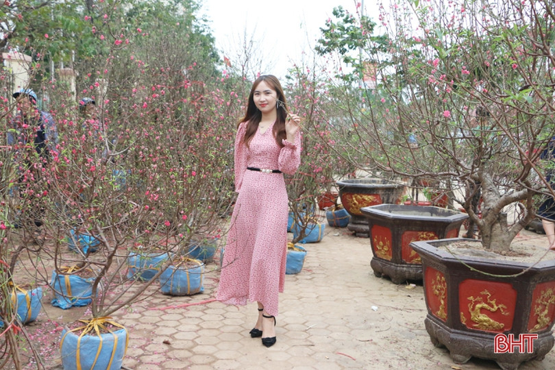 Ra phố hoa Hà Tĩnh mang Xuân về nhà