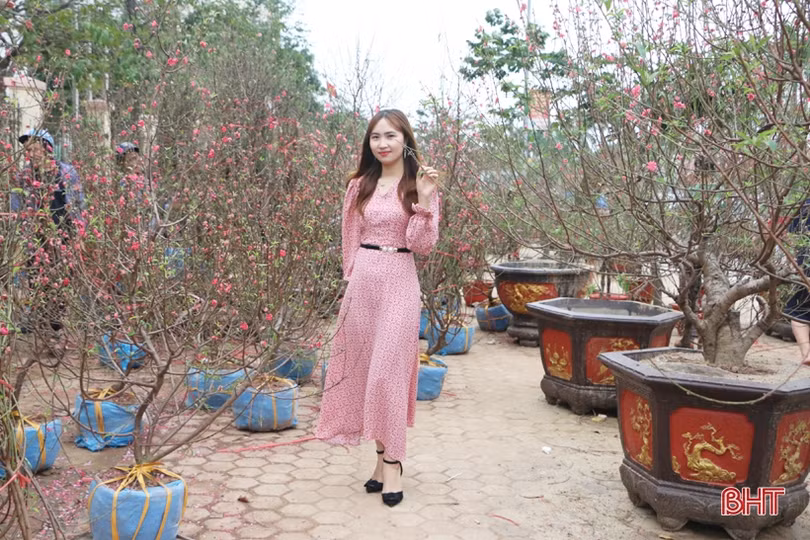 Ra phố hoa Hà Tĩnh mang Xuân về nhà