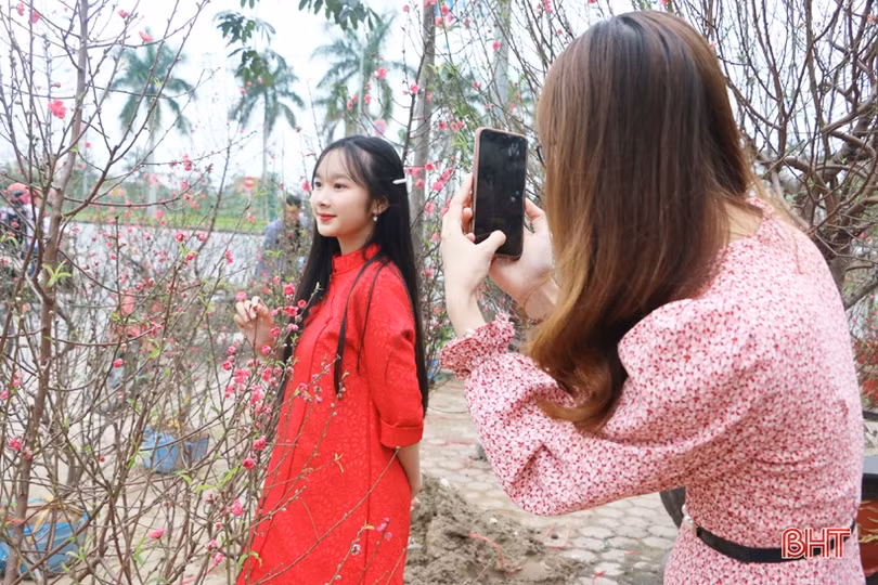 Ra phố hoa Hà Tĩnh mang Xuân về nhà