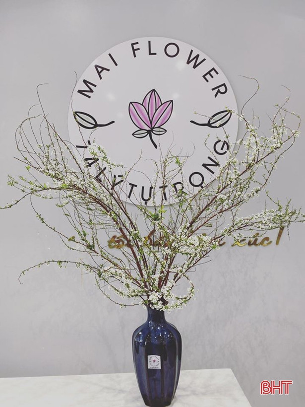 Hoa tết đẹp - độc - lạ ở Hà Tĩnh thỏa sức cho khách chơi Tết Canh Tý