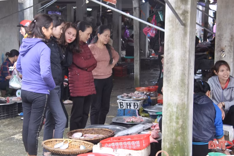 Tận mắt xem những con cá giá nửa chỉ vàng ngày Tết ở Hà Tĩnh