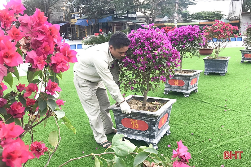 Xuân về rực rỡ trên đô thị phía Bắc Hà Tĩnh