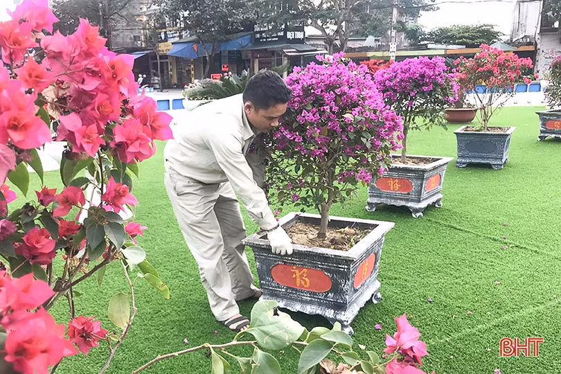 Xuân về rực rỡ trên đô thị phía Bắc Hà Tĩnh